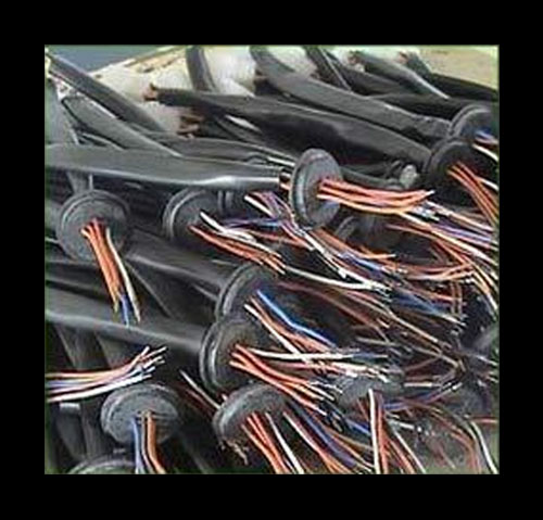 Chiranjivee Products